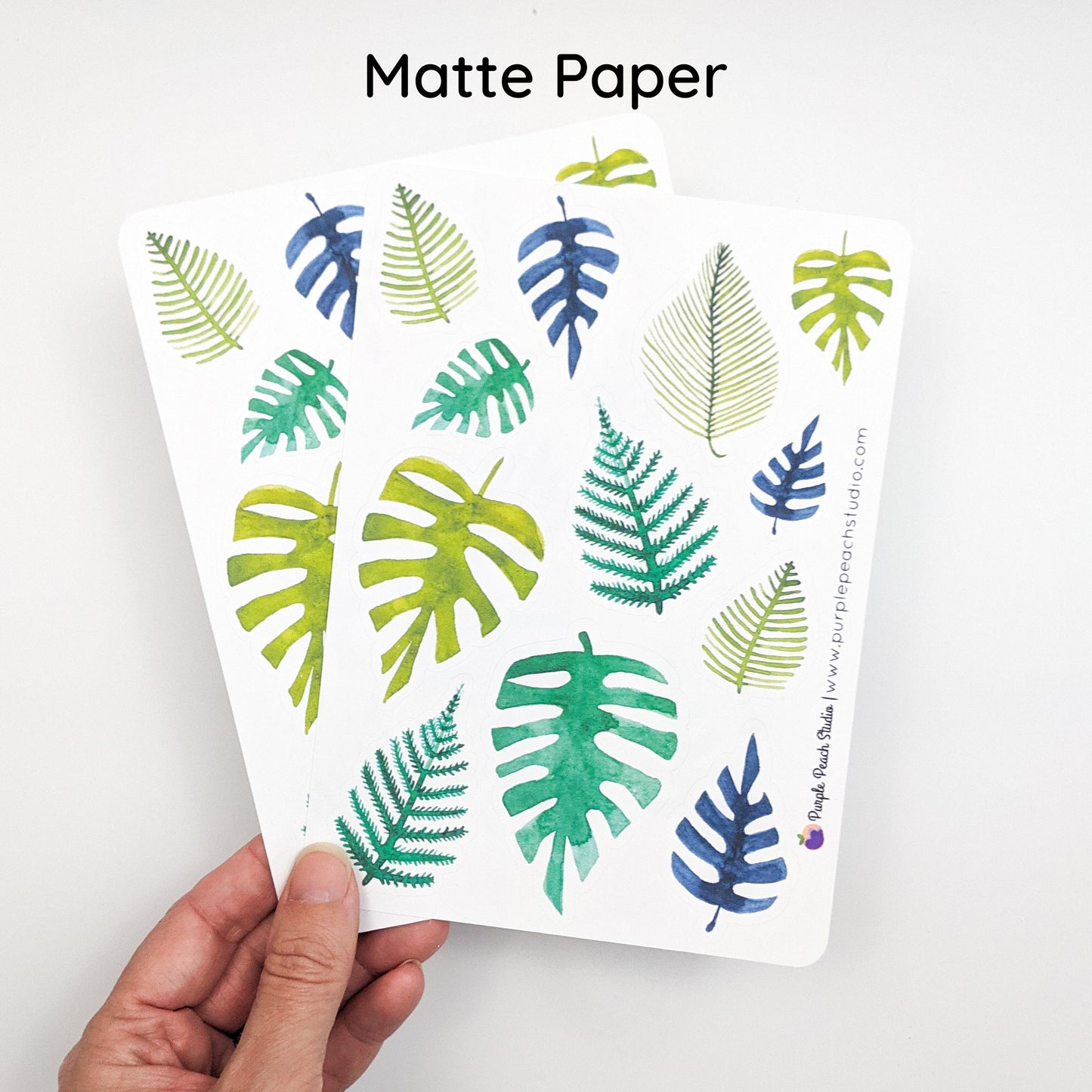 Large Tropical Leaf Stickers