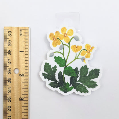 Celandine Poppy Wildflower Decal