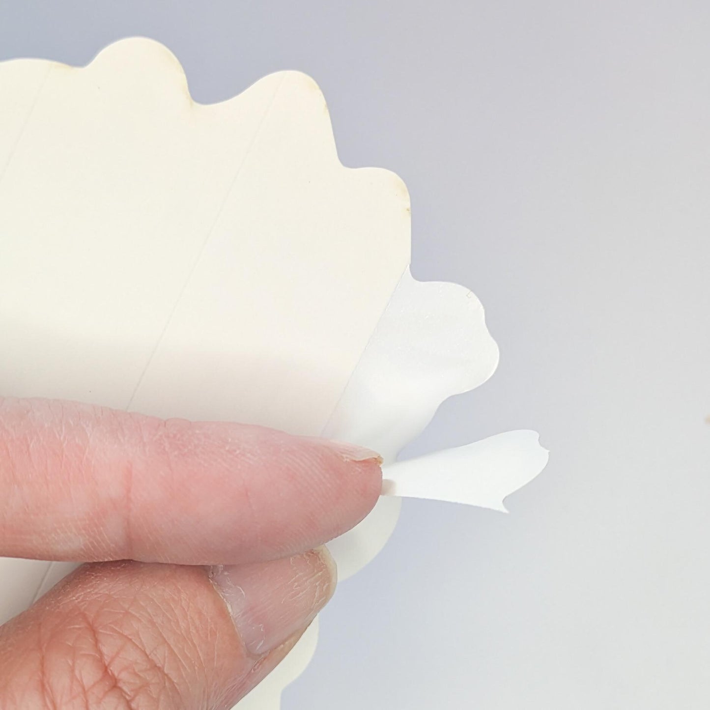 Inspirational Feminist Sticker | The Horrors Persist But So Do I