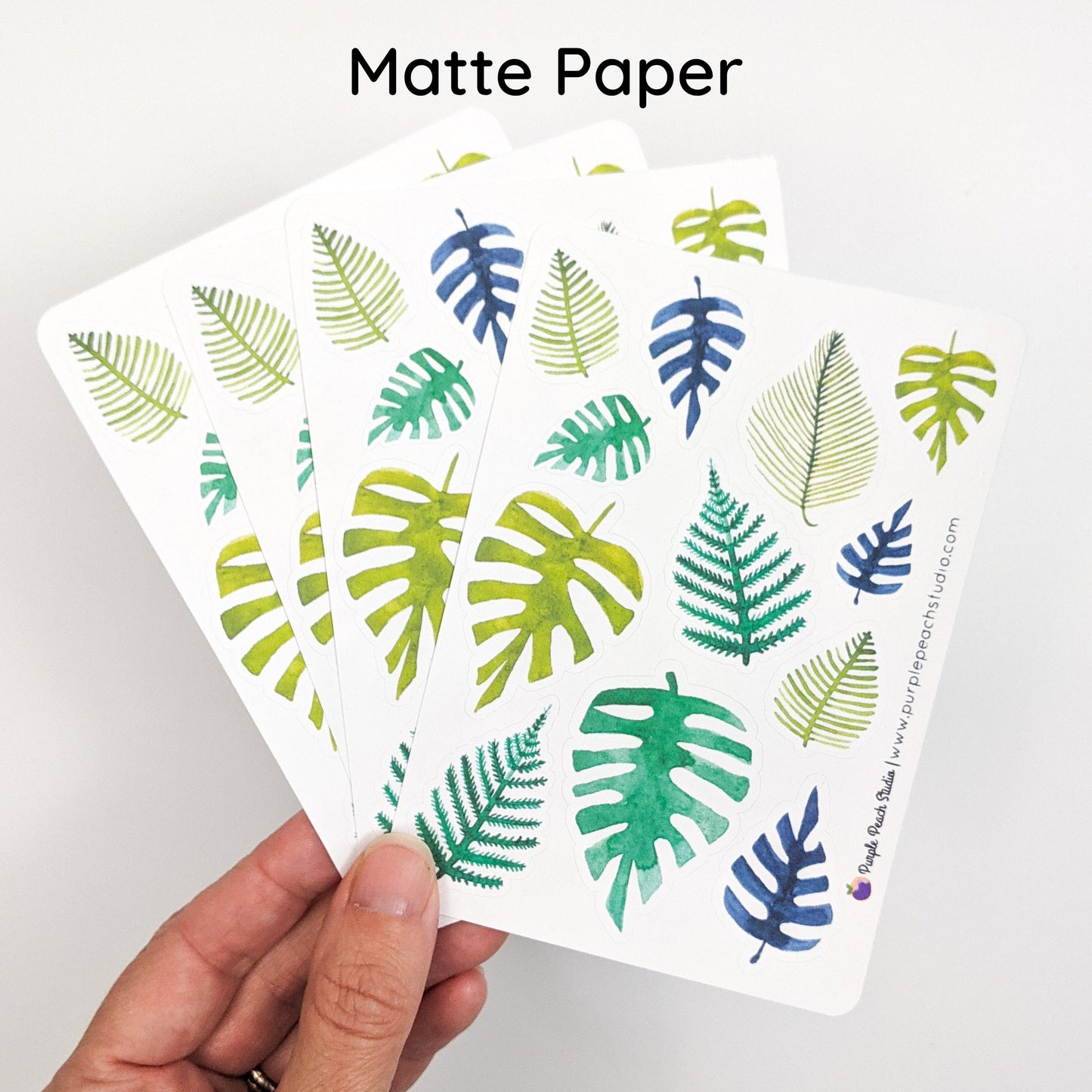 Small Tropical Monstera and Palm Leaf Stickers