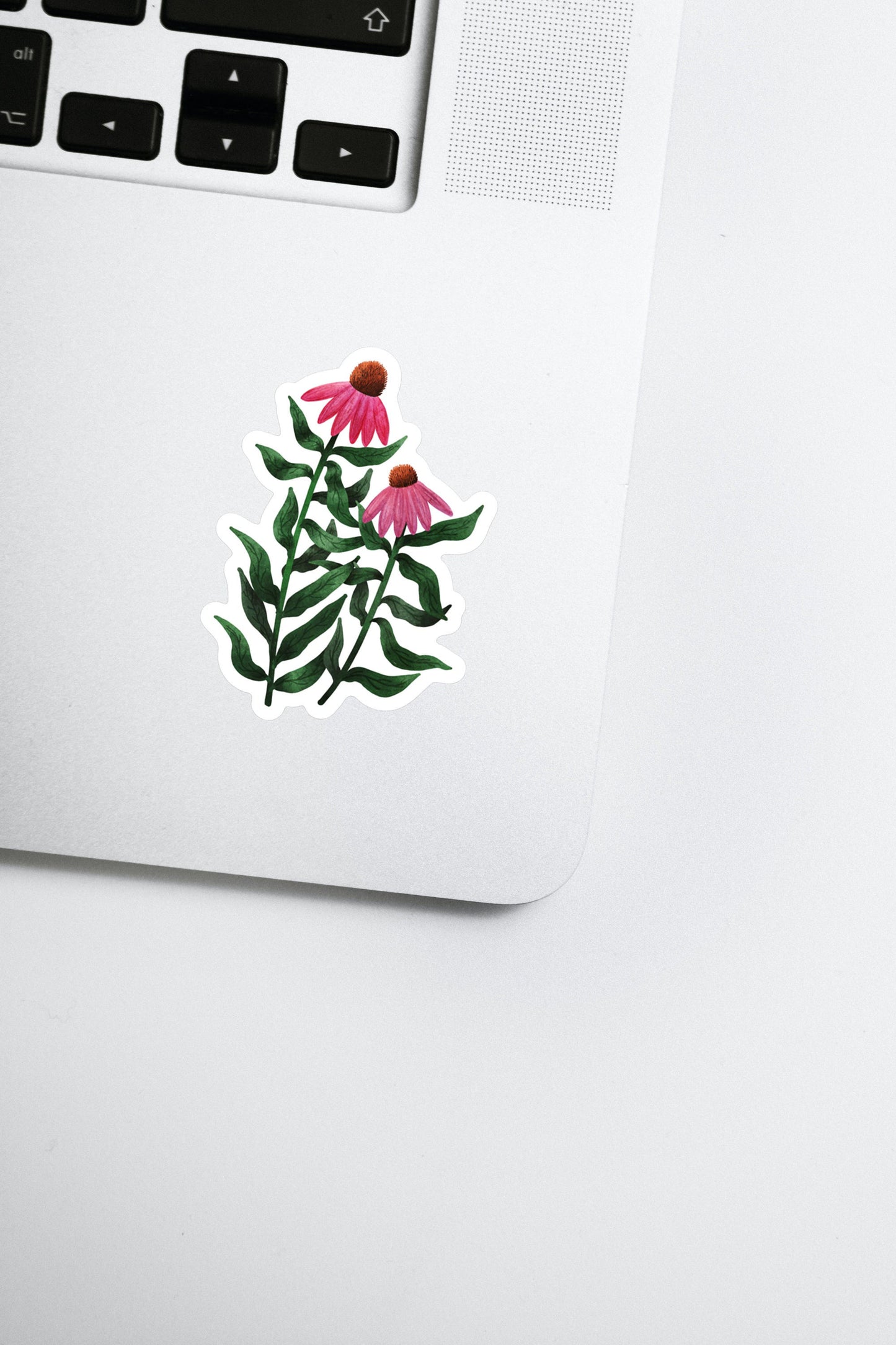 Purple Coneflower Wildflower Decal