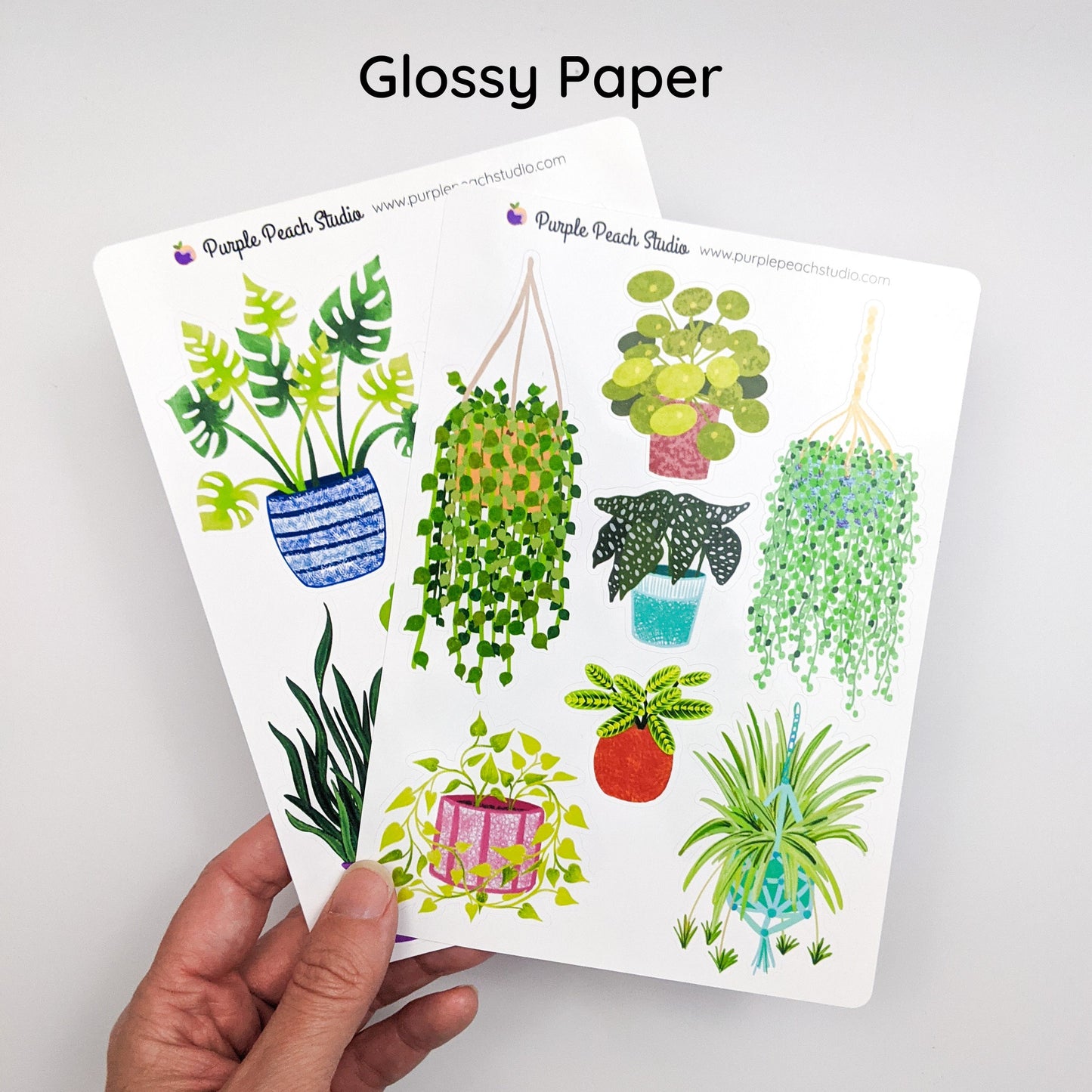 Large Houseplant Stickers