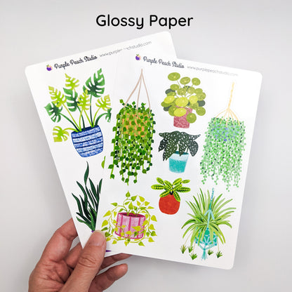 Large Houseplant Stickers