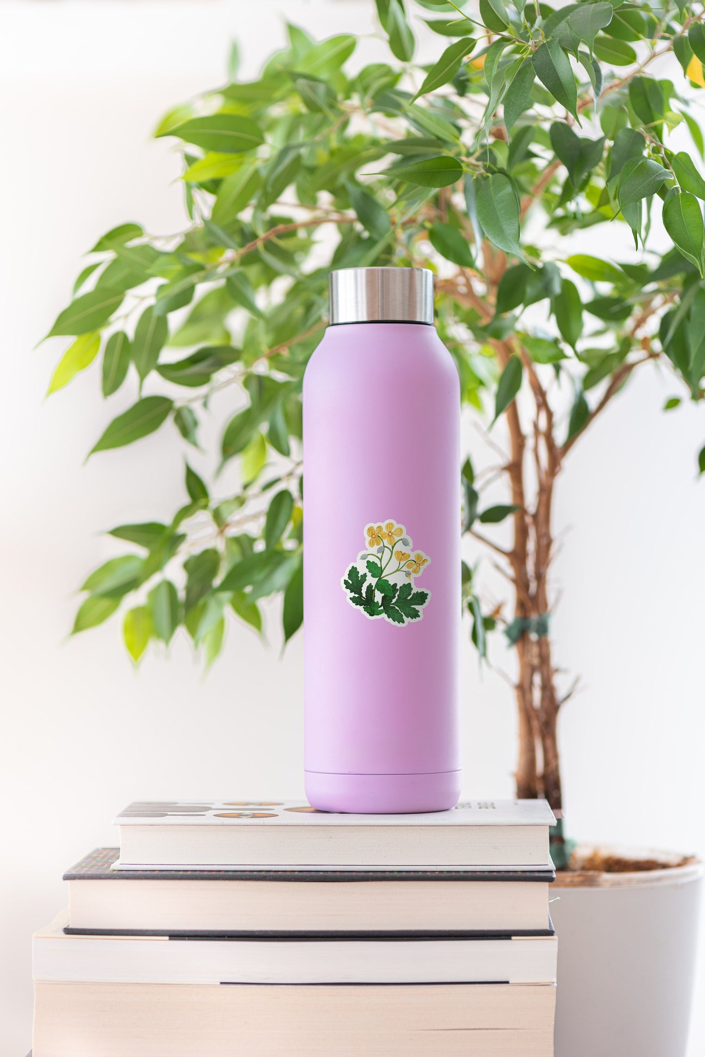 Celandine Poppy Wildflower Decal