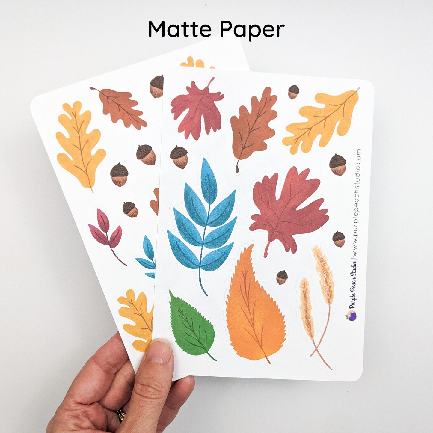 Large Fall Leaf Stickers