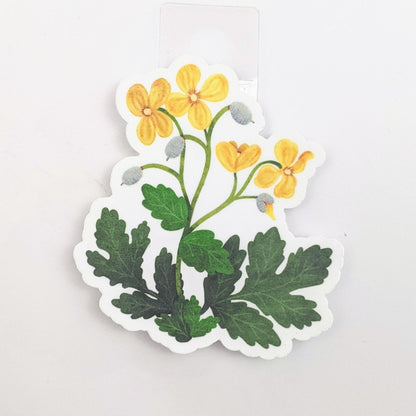 Celandine Poppy Wildflower Decal