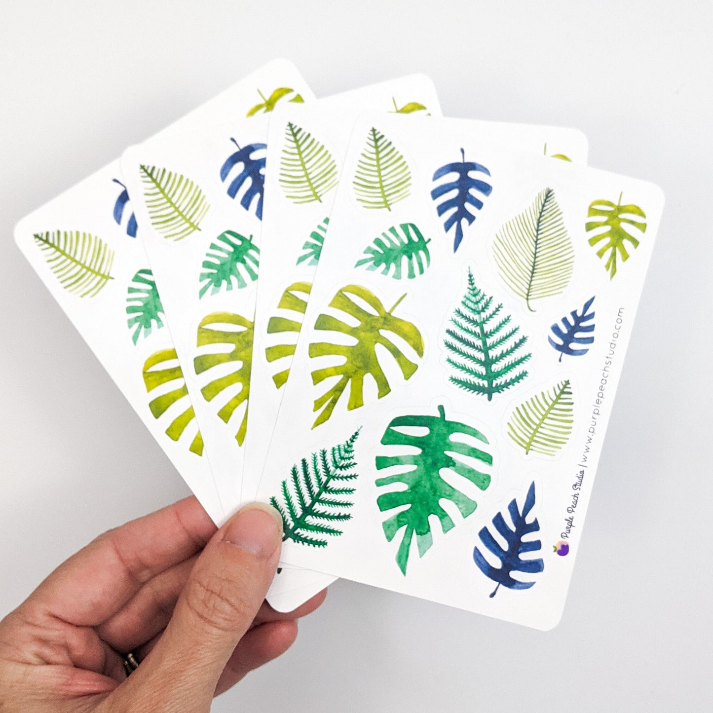 Small Tropical Monstera and Palm Leaf Stickers